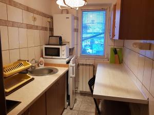 a small kitchen with a sink and a microwave at Apartament Silva Busteni in Buşteni