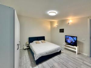 a bedroom with a bed and a flat screen tv at Interbelic house with courtyard and terrace in Bucharest
