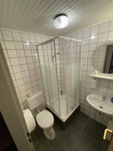 a bathroom with a shower and a toilet and a sink at Krügers Hotel in Barsinghausen