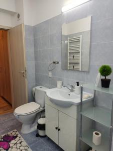 Ένα μπάνιο στο Cozy Apartment in Rasnov