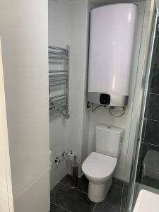 La petite salle de bains est pourvue d'une douche et de toilettes. dans l'établissement APARTAMENTO PRECIOSO SOL Y SIERRA, à Sierra Nevada
