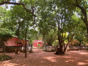 a dirt road with trees and a red building at Kandalama Hostel in Dambulla +11 photos