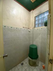 a bathroom with a green toilet with a green lid at Perucho-Silang Guest House in Mabini
