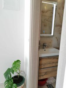 a bathroom with a sink and a mirror and a plant at Apartments and rooms Porto in Ražanj