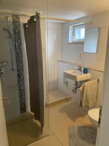 a bathroom with a glass shower and a sink at Appartment Schmidtner in Ansbach