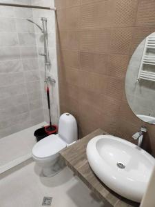 ein Badezimmer mit einem Waschbecken, einem WC und einem Spiegel in der Unterkunft Tsereteli flatt 7 in Tbilisi City
