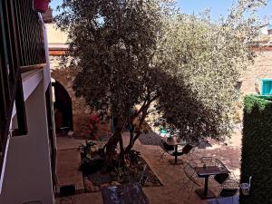 a tree in a courtyard next to a building at Bella Casetta Guest House in Famagusta