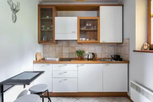 Kuchyň nebo kuchyňský kout v ubytování Rent like home - Pod Blachówką 4