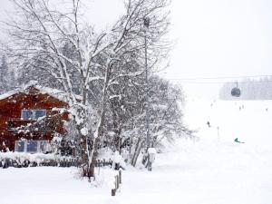 a snow covered slope with a tree and a ski lift at Holiday Home Nikola by Interhome in Flachau