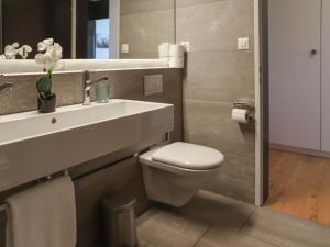 a bathroom with a white toilet and a sink at Apartment Allod Park Haus C 707 by Interhome in Davos