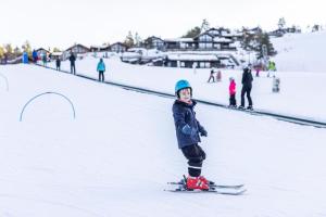 Hosté ubytování Vrådal Ferieleiligheter