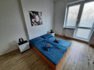 1 dormitorio con 1 cama azul en una habitación en Cathedral and sights on a budget en Košice