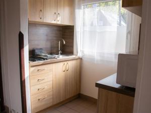 een kleine keuken met een wastafel en een raam bij Holiday Home Kemp Stříbrný rybník-13 by Interhome in Hradec Králové