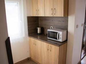 a microwave sitting on a counter in a kitchen at Holiday Home Kemp Stříbrný rybník-10 by Interhome in Hradec Králové +28 photos