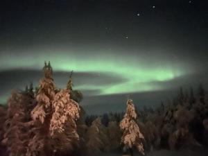 an aurora over a forest of trees at night at Holiday Home Vaaranpää by Interhome in Meltaus