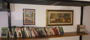 een plank vol boeken op een muur met een schilderij bij A casa di Marco 