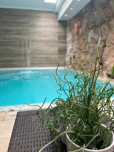 Bazén v ubytování Hotel Madonna Delle Grazie nebo v jeho okolí