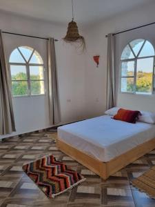 a bedroom with a bed with two windows and a rug at Villa Les jardins fleuris in Essaouira