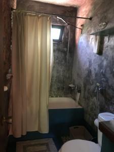 a bathroom with a shower curtain and a toilet at El viento en los sauces in Sauce de Portezuelo