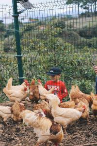 Santa Maria de Guia de Gran Canaria的住宿－Ecofinca Selva Doramas，站在一群鸡旁边的人