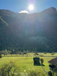 een groen veld met een berg op de achtergrond bij Haus Edelweiss in Obertraun