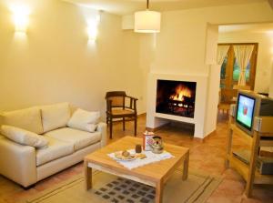 sala de estar con sofá y chimenea en Manke Apart & Suites en San Martín de los Andes