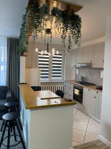 a kitchen with a kitchen island with plants on the ceiling at ROTUŠĖS g 23 APARTMENTS IN THE CITY CENTER BIRŽAI in Biržai