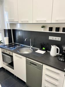 Η κουζίνα ή μικρή κουζίνα στο Martina apartman Békéscsaba