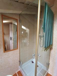 a bathroom with a tub and a shower with a mirror at Casita de ensueño, en la sierra de Segovia in Segovia