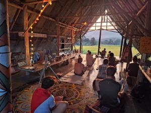 Hosté ubytování Cody Backpackers