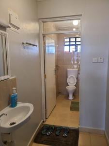 a bathroom with a sink and a toilet at Wike Suites in Nakuru