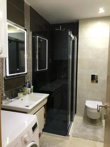 ein Bad mit einer Dusche, einem Waschbecken und einem WC in der Unterkunft Apartman Dunja-Vila Pekovic Zlatibor in Zlatibor