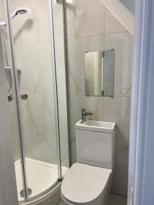 a bathroom with a shower and a toilet and a sink at Catherine 5 bedroom house in Crewe