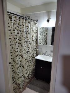 a bathroom with a sink and a shower curtain at SANFER CENTER 2 in San Fernando