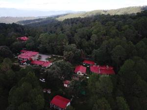 an aerial view of a house in the middle of a forest at West View Hotel in Rānīkhet
