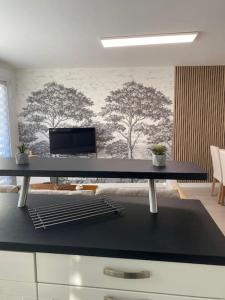 Galeriebild der Unterkunft Jacuzzi 2 places - App 4 pers - Parking (digicode) in Goussainville