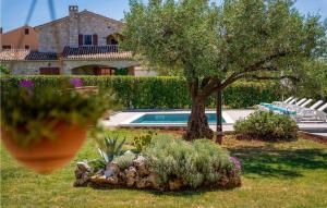 un cortile con piscina, albero e sedie di Casa Olea a Kaštelir (Castellier)