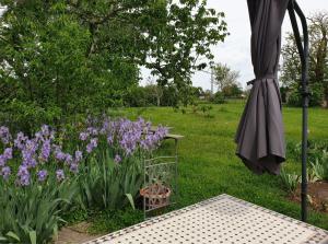 a garden with purple flowers and an umbrella at Halte au beau Millet in Coutras