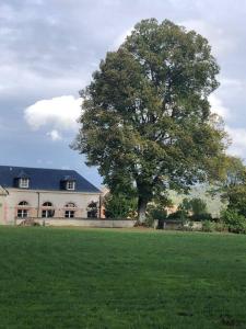 ein großer Baum auf einem Feld vor einem Haus in der Unterkunft Chateau de Tosny 