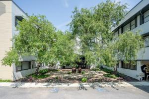 a courtyard with trees in front of a building at House at Phipps in Atlanta