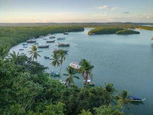 una vista aerea sulle barche di un fiume con palme di Pousada Tropicália Tranquilidade a Beira Mar a Santa Cruz Cabrália