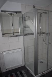 una doccia con porta in vetro in bagno di Ferienwohnung Neue Schmiede 
