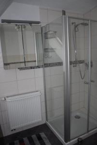 a shower with a glass door in a bathroom at Ferienwohnung Neue Schmiede in Helmershausen +11 photos