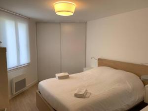 um quarto com uma cama com duas toalhas em Jaurès - Centre-Ville - T3 au calme em Brest
