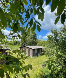 an old shed in a field with trees at Haus am Grimnitzsee mit Sauna in Joachimsthal