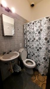 a bathroom with a toilet and a sink and a shower curtain at Loft Mendoza Capital Musica y Fotografia in Mendoza