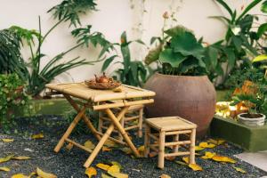 Сад в Entire First Floor - Nguyên Tầng Trệt- Nhà Mơ Homestay Bến Tre +15 фотографий