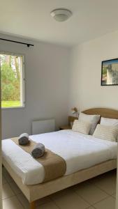 a bedroom with two beds and a window at Chalet paisible à la plage, piscine et tennis in Ondres