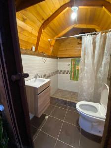a bathroom with a toilet and a sink at Glamping Mirador Colina. in San Francisco