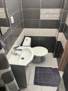 a bathroom with a sink and a toilet at Apartmány Star in Kežmarok